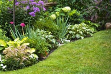 Lawn & Garden Care